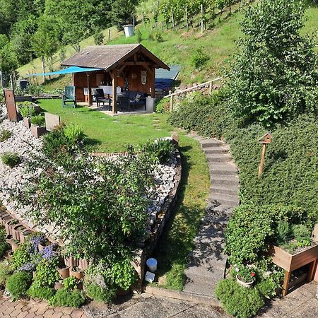 Chambres D'Hotes "Au Val Sejour" Alsace Saint-Martin  Экстерьер фото
