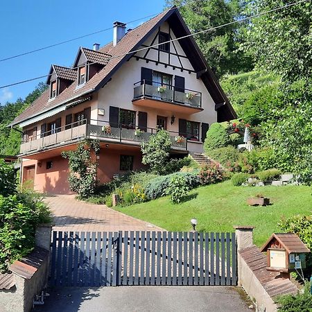 Chambres D'Hotes "Au Val Sejour" Alsace Saint-Martin  Экстерьер фото