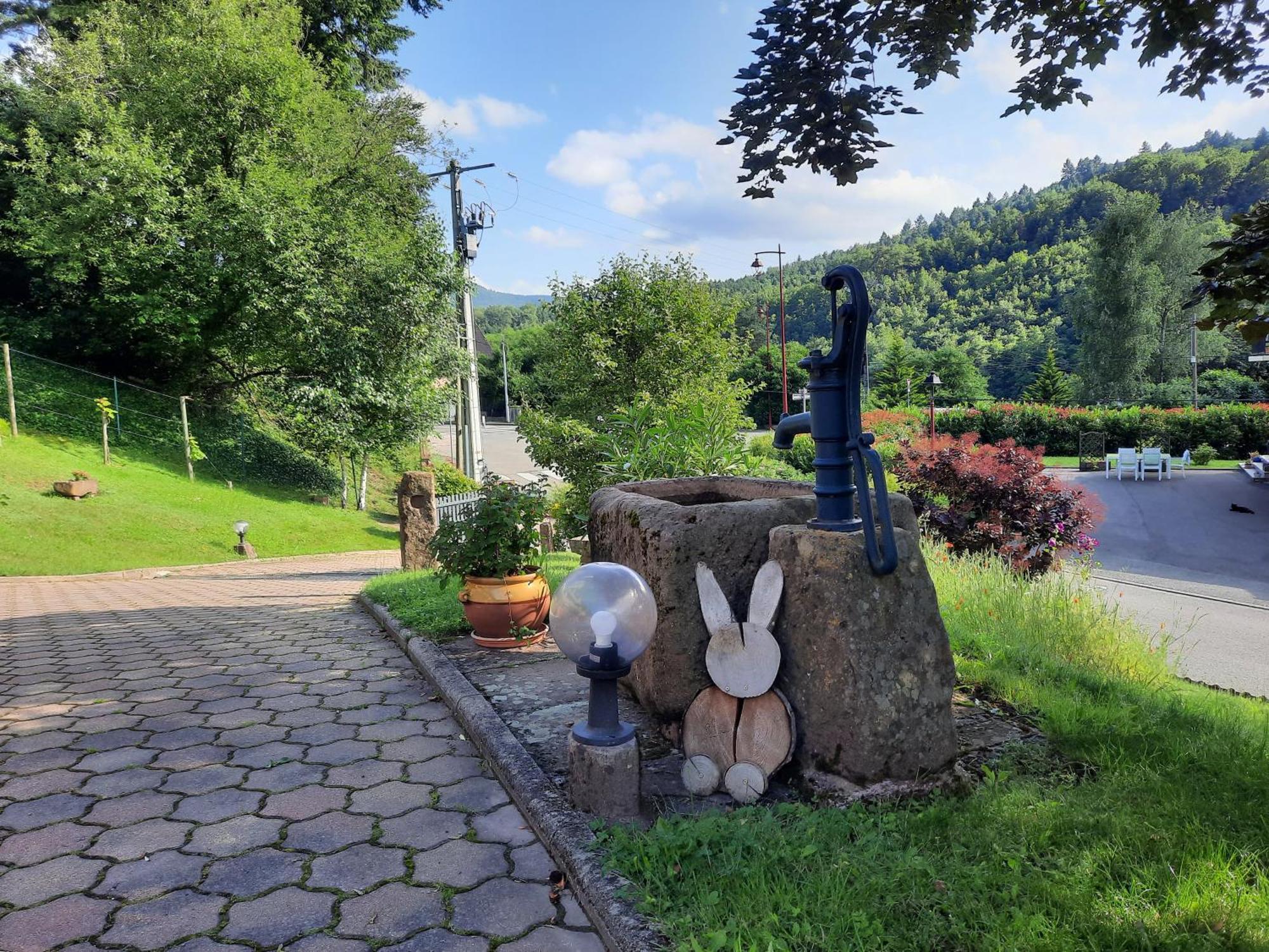 Chambres D'Hotes "Au Val Sejour" Alsace Saint-Martin  Экстерьер фото