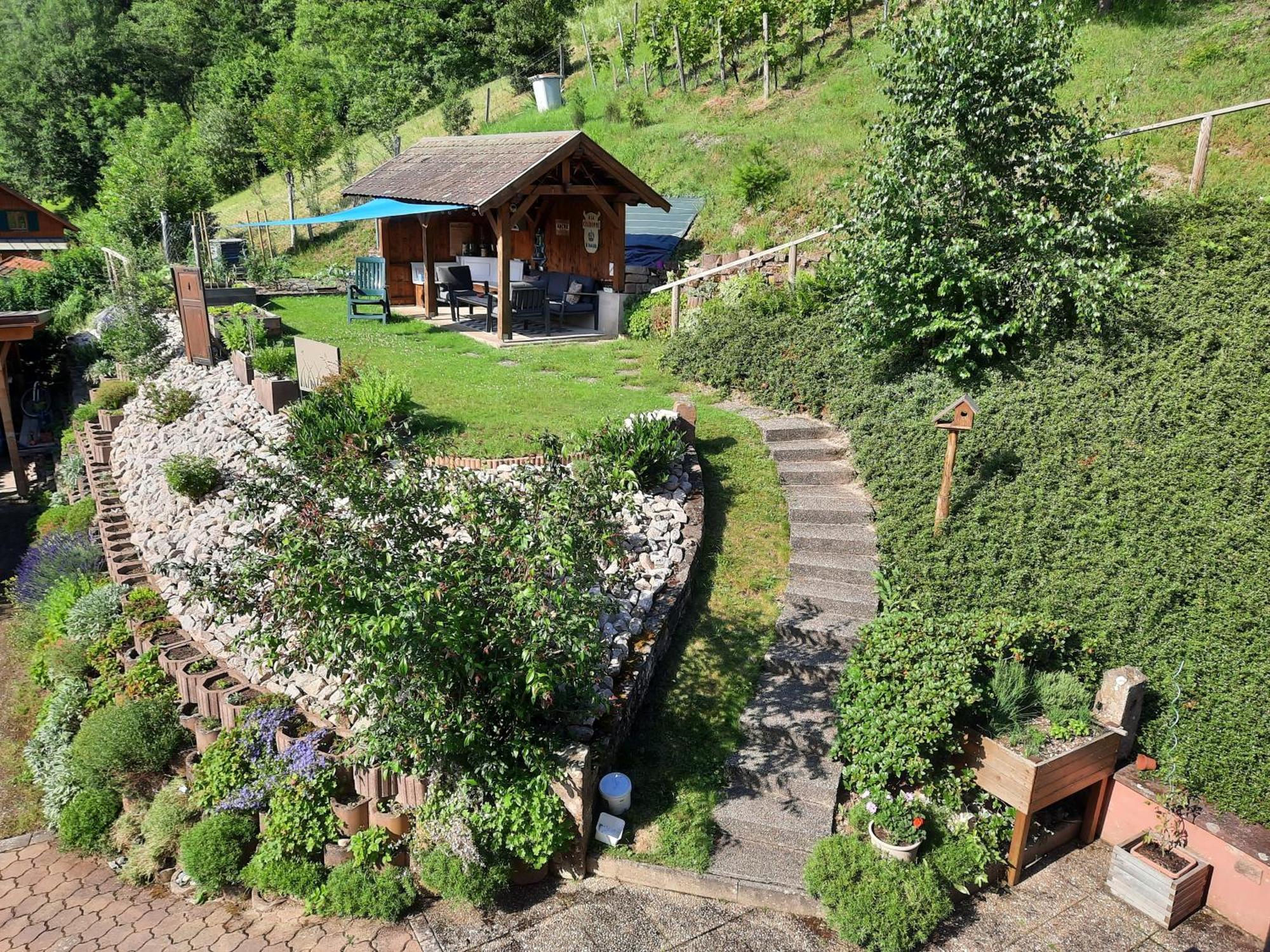 Chambres D'Hotes "Au Val Sejour" Alsace Saint-Martin  Экстерьер фото