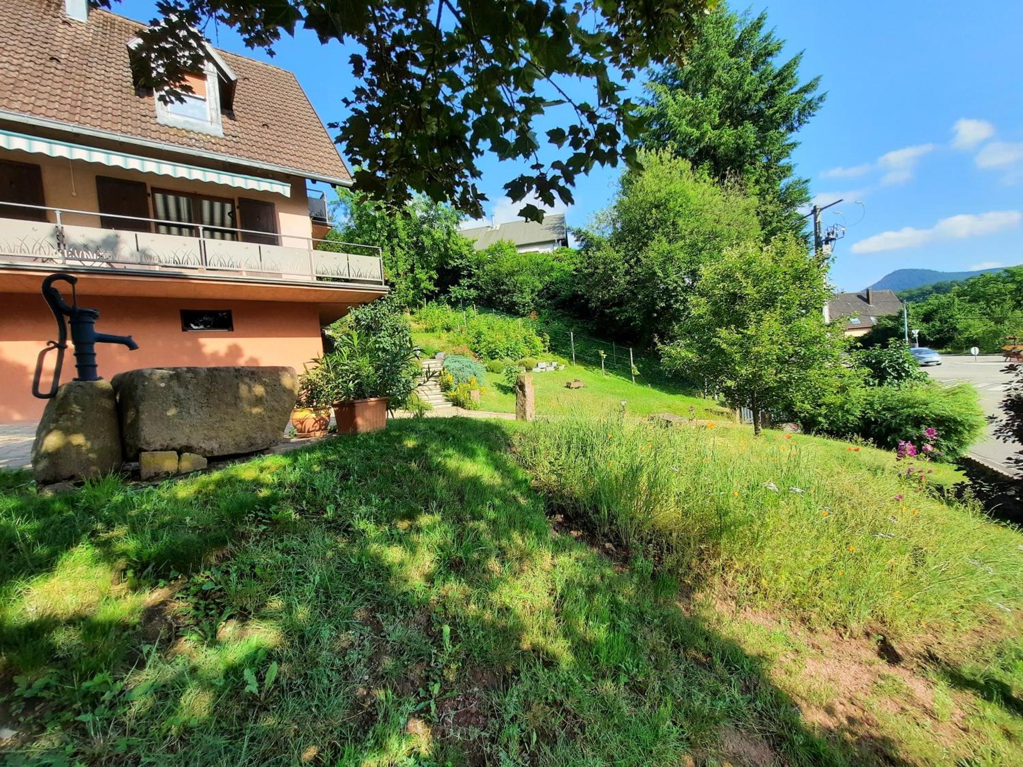 Chambres D'Hotes "Au Val Sejour" Alsace Saint-Martin  Экстерьер фото