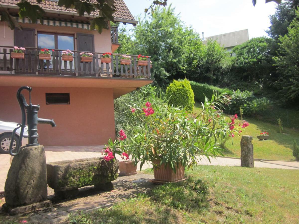 Chambres D'Hotes "Au Val Sejour" Alsace Saint-Martin  Экстерьер фото
