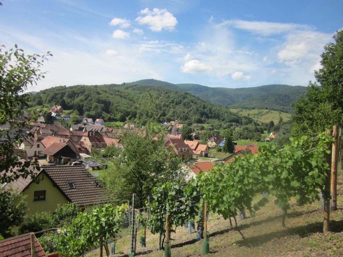 Chambres D'Hotes "Au Val Sejour" Alsace Saint-Martin  Экстерьер фото